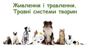 Живлення і травлення