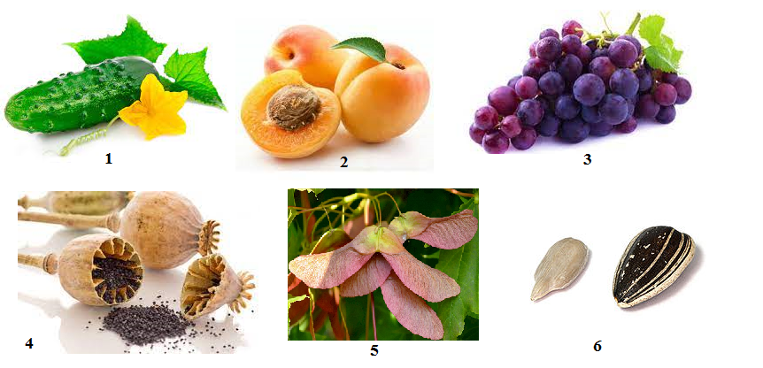 0401gl3m-3165-862x416.png