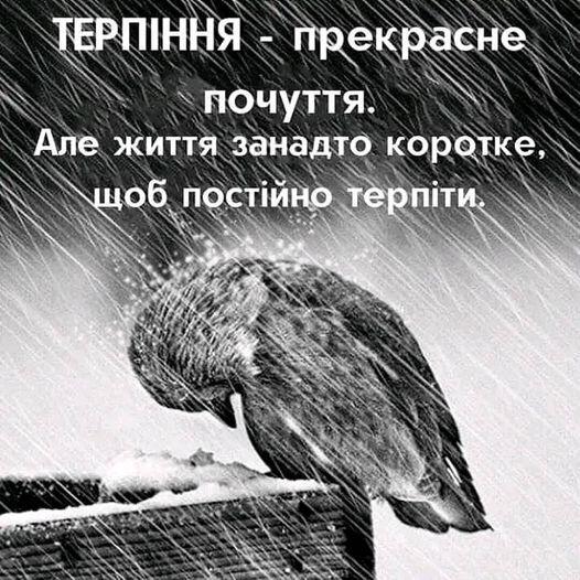 Возможно, это изображение текст
