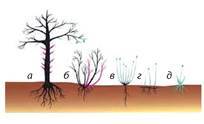 0401godb-b5d7-204x124.jpg