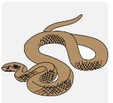 0401gpbe-56be-165x151.png