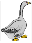 0401gpcm-d483-127x167.png