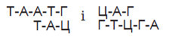 0401gpob-fd19-350x77.png