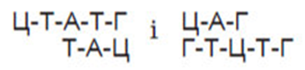 0401gpp8-4de4-340x78.png