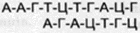 0401gprj-6963-274x65.png