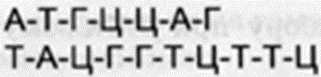 0401gprt-7c5e-321x77.png