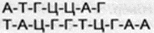 0401gpsc-f24b-318x70.png