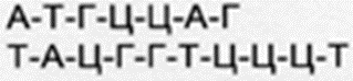 0401gpsh-0e4b-319x74.png