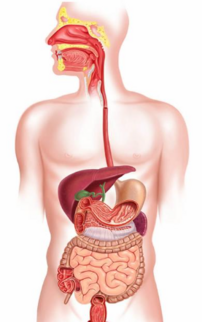 0401gxtk-6723-202x322.png