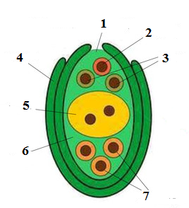 0401gxzh-f592-268x294.png