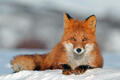 0401gz5l-b00f-120x80.jpg