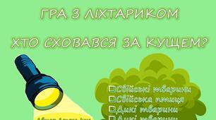 ГРА З ЛІХТАРИКОМ " ХТО СХОВАВСЯ ЗА КУЩЕМ?"