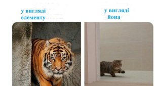 Презентація "Хімічні меми. Неорганіка".