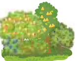 0401h2bp-ef7d-157x125.png