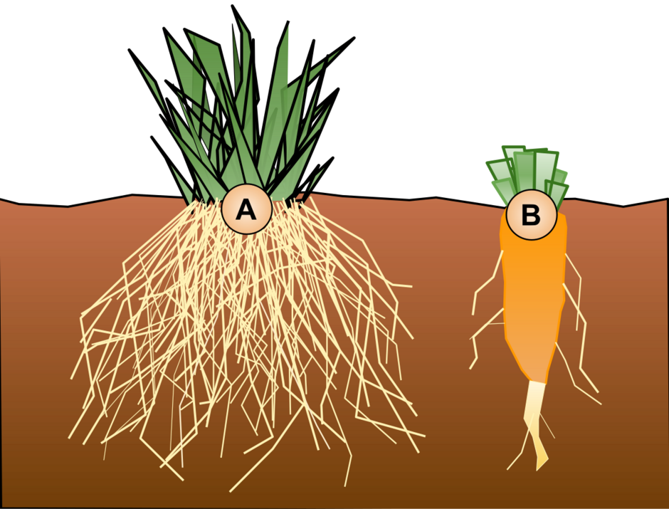 0401h44s-b85d-940x715.png