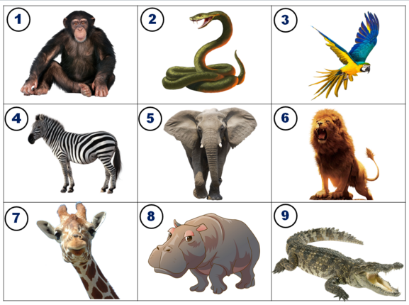 0401h50l-3253-577x430.png