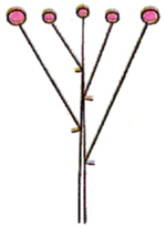 0401h6lp-edb1-150x205.png