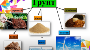 Я досліджую склад грунту.