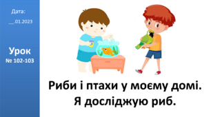 Презентація на тему: "Риби і птахи у моєму домі. Я досліджую риб." ЯДС 2 клас ІІ ч. автор Большакова І.О.