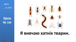Презентація на тему: "Я вивчаю хатніх тварин." ЯДС ІІ ч. автор Большакова І.О.