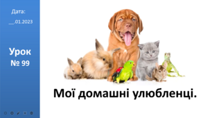 Презентація на тему: "Мої домашні улюбленці." ЯДС 2 клас ІІ ч. автор Большакова І.О.