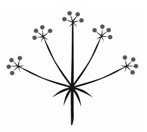 0401h8z3-f51b-147x132.png