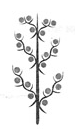 0401h946-7aef-75x133.png