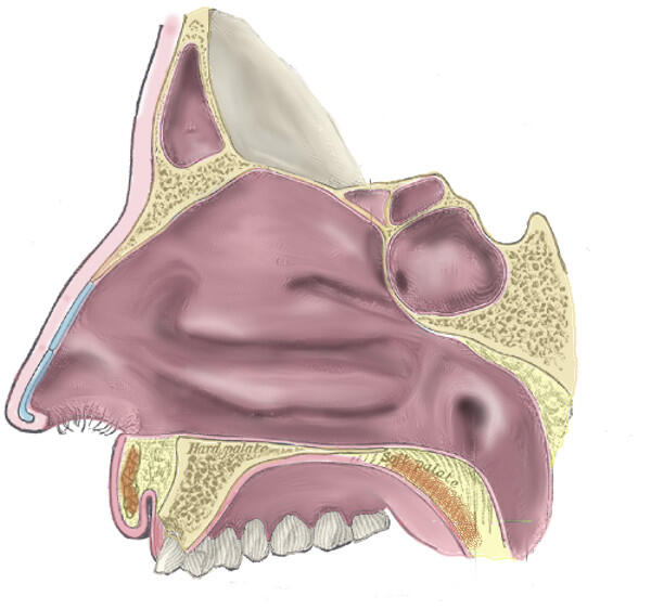 0401ha67-0119-600x562.jpg
