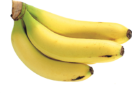 0401hdc6-363c-193x136.png