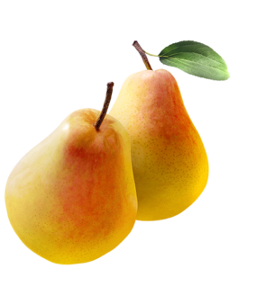 0401he3n-f398-295x318.png