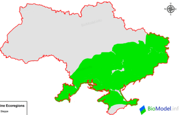 0401hfgm-e4ee-365x236.png