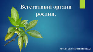 6 клас.  Узагальнення до теми "Рослини. Частина 1"