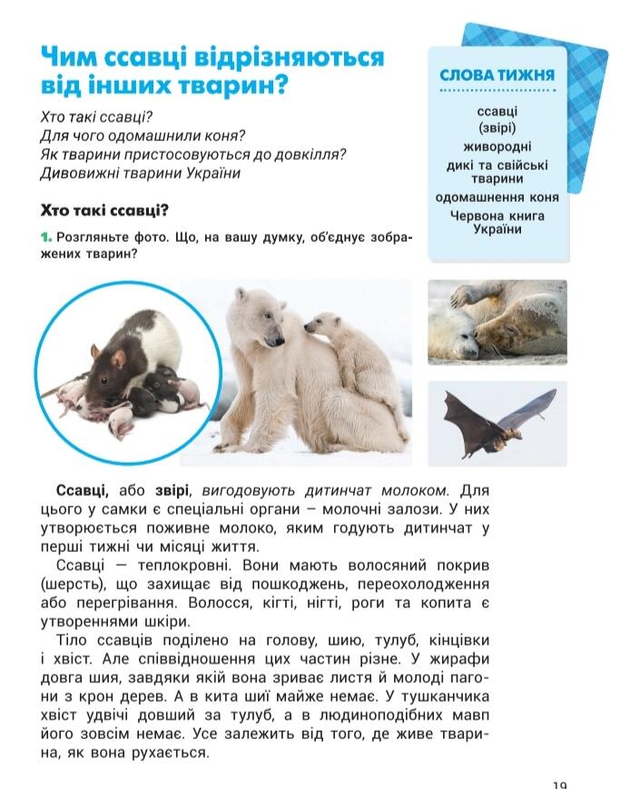 Хто такі ссавці? | Урок на 6 завдань. Я досліджую світ