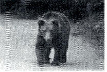0401hh0m-6168-208x140.jpg