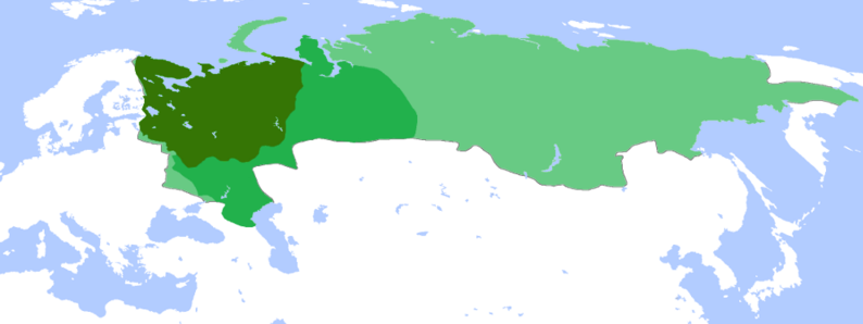 0401hk0x-4201-794x298.png