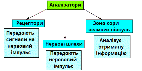 аналізатори.gif