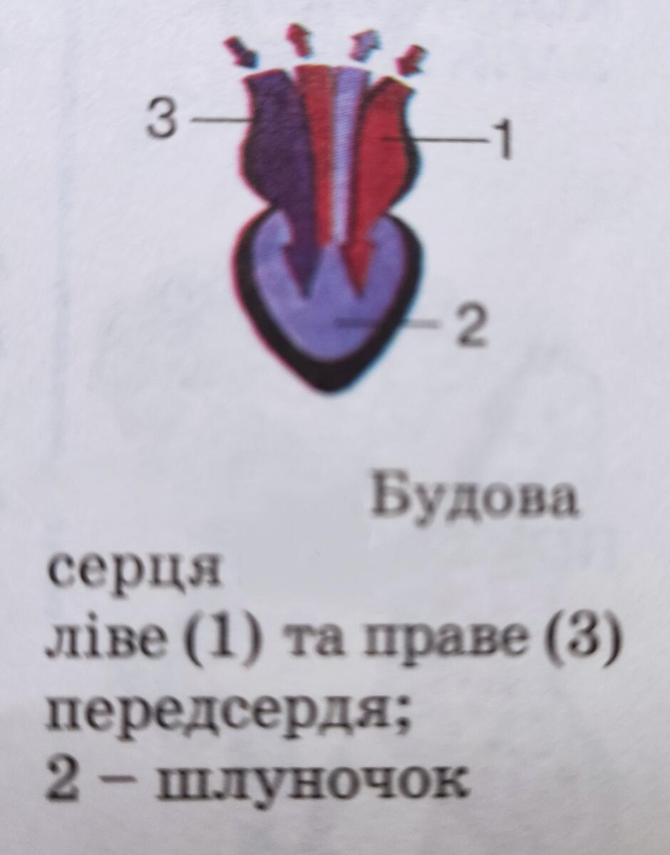 0401hm39-01e3-940x1198.jpg