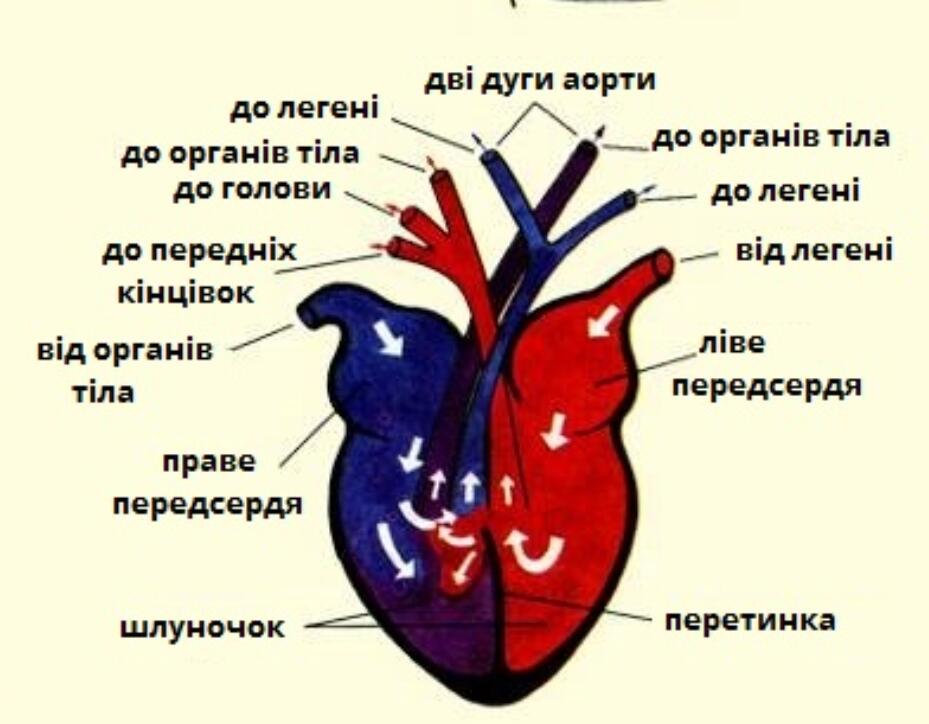 0401hm3k-3e0b-929x724.jpg