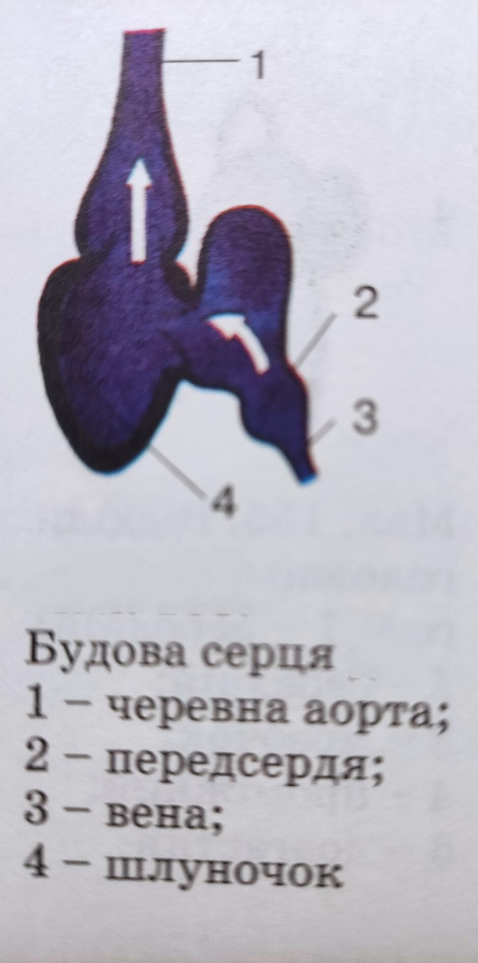 0401hm3v-c2d0-940x1893.jpg