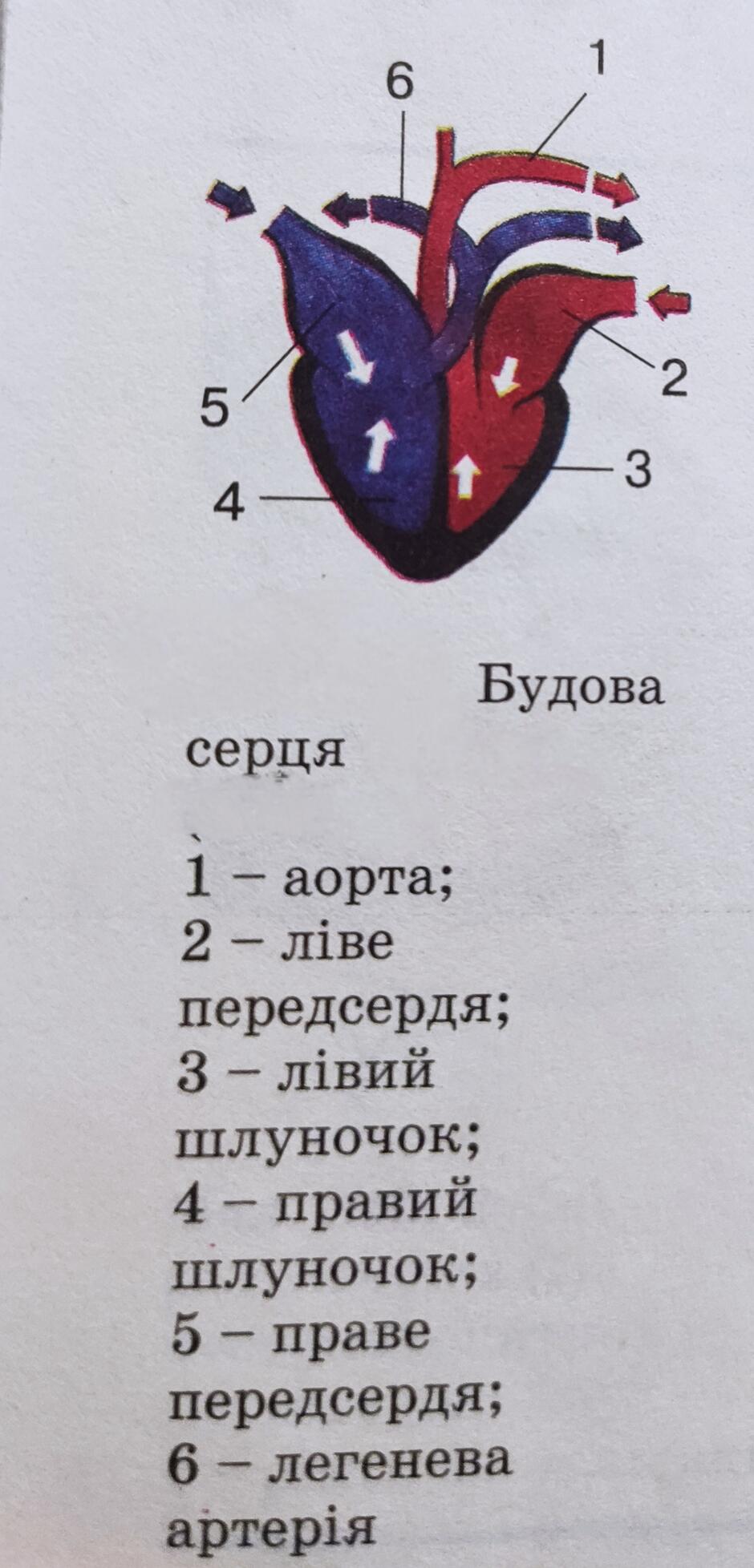 0401hmcg-17bb-940x1956.jpg