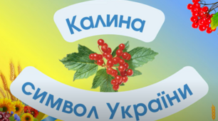 Калина - в серці українців