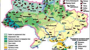 Тваринний світ України