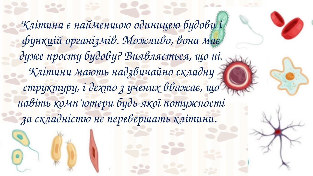 Клітина є найменшою одиницею будови і функцій організмів. Можливо, вона має дуже просту будову? Виявляється, що ні. Клітини мають надзвичайно склад...