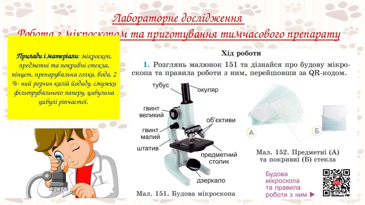кол Лабораторне дослідження Робота з мікроскопом та приготування тимчасового препарату Прилади і матеріали: мікроскоп, предметні та покривні стекла...