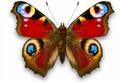 0401hqdz-4994-121x82.jpg