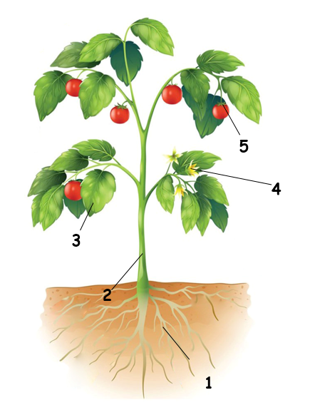 0401hret-2096-442x568.png