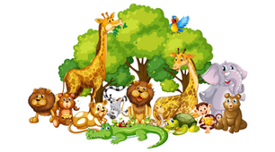Діагностична робота №5 "Animals"