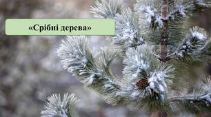 Презентація на тему: «Срібні дерева» (вивчення вірша Л. Первомайського).