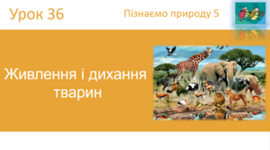 Живлення і дихання  тварин "Пізнаємо природу" (авт. Коршевнюк Т.В.)