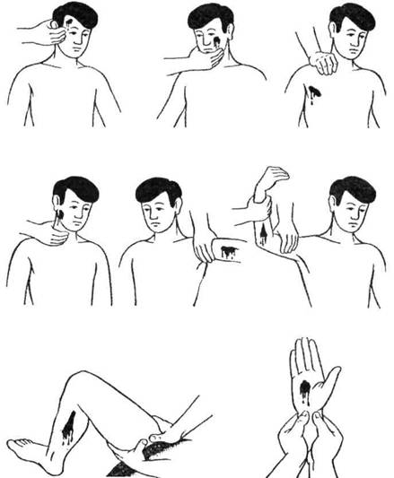 0401hv5g-9e65-439x533.png